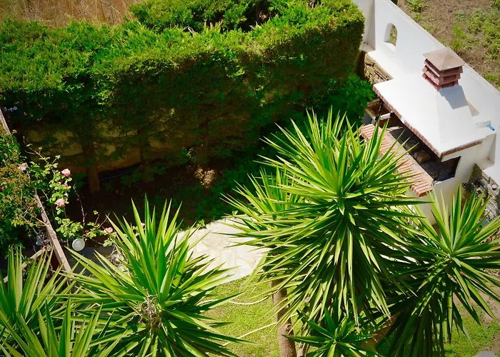 Diamond Palace ギシオ