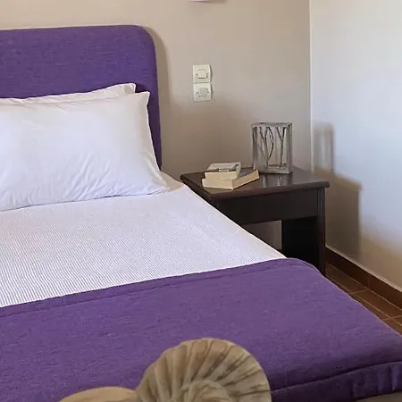 钻石宫殿公寓式酒店 公寓式酒店 伊西翁